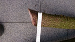 DSC_1059.JPG