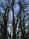 IMG_20180114_215146.jpg (460.01 KiB) 15177 mal betrachtet Habitat