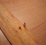 Leider noch ein altes Foto der Wurfarm ist an dieser Stelle schon dünner