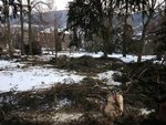 Parkbeschneidung