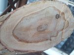 Anschnitt Detail