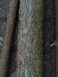 IMG_20180326_184710442.jpg