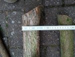 IMG_20180326_184846867.jpg