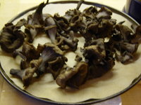 DSC04845.JPG