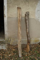 Kirsche4.JPG