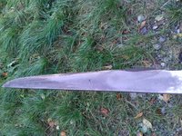 20181101_115259.jpg
