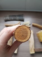 Japanischer Schnurbaum?