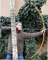 Und der Vollauszug 28"