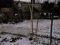 DSCN0529.JPG (1.93 MiB) 11282 mal betrachtet wo er seine Kindheit verbrachte