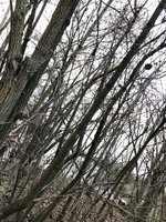 IMG_0426-min.JPG (1.44 MiB) 4856 mal betrachtet Es geht um den, der von links unten bis in die rechte obere Ecke läuft.