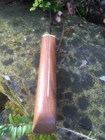 IMG_9293.jpeg