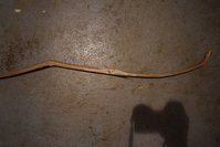 DSC02665.JPG