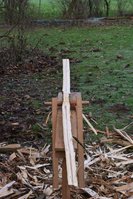 Mirabelle4.jpg (231.83 KiB) 2033 mal betrachtet Einmal halbiert, leider etwas drehwüchsig