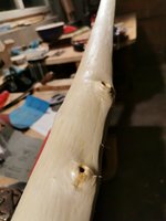 k-IMG_20200123_205125.jpg (442.59 KiB) 10681 mal betrachtet Äste.....