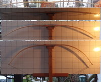 Sap2020_Roteiche_2a_Tillern0203.jpg