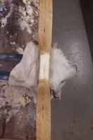 Griff natürlich freigelassen