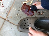34E5740C-C41D-4FC1-8215-D3B260613EB1.jpeg (112.09 KiB) 3839 mal betrachtet Rucke di gu, rucke di gu, Blut ist im Schuh