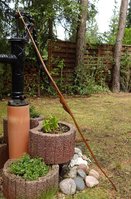 Goldregen 140cm Präsi Abgespannt 2.JPG