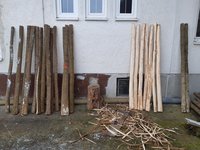 N kleines Bischen Berg-Ulme heute geschnitten...