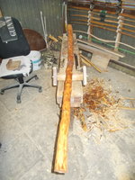 DSCN0701.JPG (439.09 KiB) 9538 mal betrachtet ist gleich wieder braun geworden