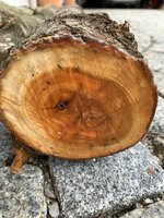 WhatsApp Image 2021-06-17 at 01.17.16 (1).jpeg