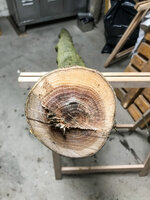 redoak_anschnittunten.jpg (1.24 MiB) 7197 mal betrachtet Anschnitt unten