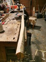 Hasel mit Drehwuchs...