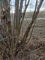 IMG_20220106_094431_compress44.jpg