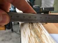 3redoak-ruecken.jpg (1.57 MiB) 6964 mal betrachtet Schlecht zu fotografieren, manche Furchen sind v-förmig.