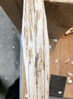 CAD337C5-7647-4923-90E2-C68663768840.jpeg (1.23 MiB) 6872 mal betrachtet Auf dem Rücken keine Spur mehr