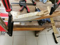 Die Traubenkirsche ist noch etwas verdreht, das habe ich versucht zu Richten