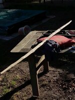 noch ein Sonnenbild. Wer weiß wann die wieder mal scheint