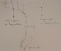 Bogenholz.jpg (353.23 KiB) 3619 mal betrachtet Hasel, als Bogenrohling