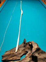 Krumm in alle Richtungen. Schön :-)