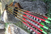 1-IMG_6537 - Kopie.JPG