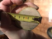 Dicke Seite kleiner Hasel