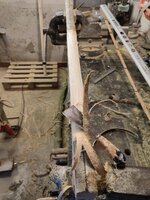 IMG_20230103_160336.jpg (154.44 KiB) 8419 mal betrachtet die Breite auf 5cm zugeschnitten und entrindet