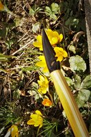 Hier sieht man die Spiegelung:)