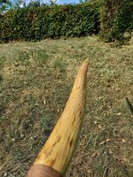 compressed_1689103270799.jpg