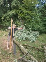 IMG_20230713_160941.jpg (406.07 KiB) 5773 mal betrachtet Avatar Bogen