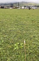 Weitschießen mit 22g Pfeilen