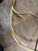 Bei den ersten Biegeversuchen Delamination des Sehnenbelags, offensichtlich habe ich verdorbenen Hasenhautleim verwendet, zurück an den Start