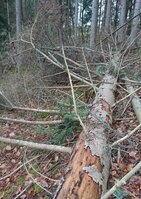 _20240101_093548.JPG