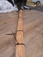 &quot;Was treibt er den jetzt schon wieder fürn Quatsch? Fütter mich!!&quot;