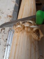 Bast mit der Rückseite des Messer abschaben