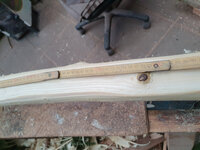 der Ast stört schon extrem
