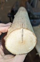 Rinde runter und die gerade Seite markiert