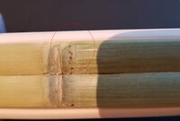 Riss im Bambus abgespannt.JPG (1.34 MiB) 5704 mal betrachtet der Riss im abgespannten Zustand