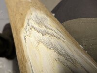 1000017922.jpg (658.25 KiB) 2899 mal betrachtet Gammelstellen mit hell verfärbtem Bast und schwarzem Gammel