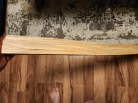 Auch von unten keine Äste zu sehen